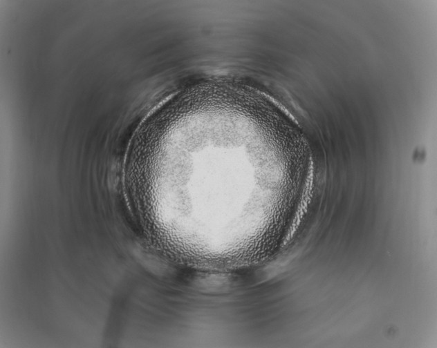 X0000090870671200708171626