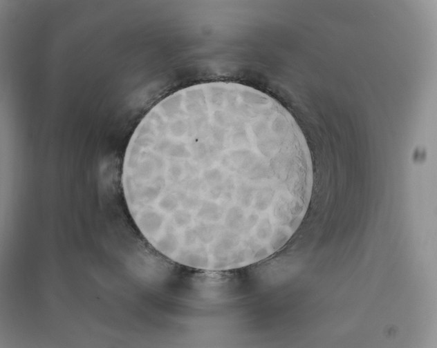 X0000090870672200708171626