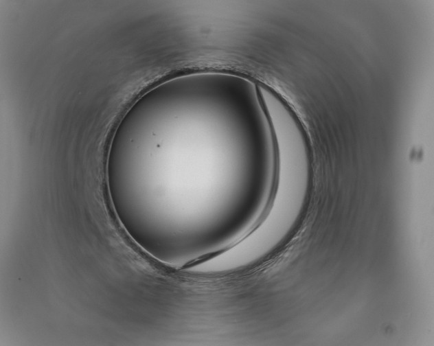 X0000090870673200708171626