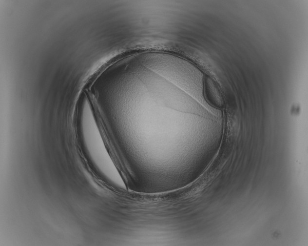 X0000090870674200708171626