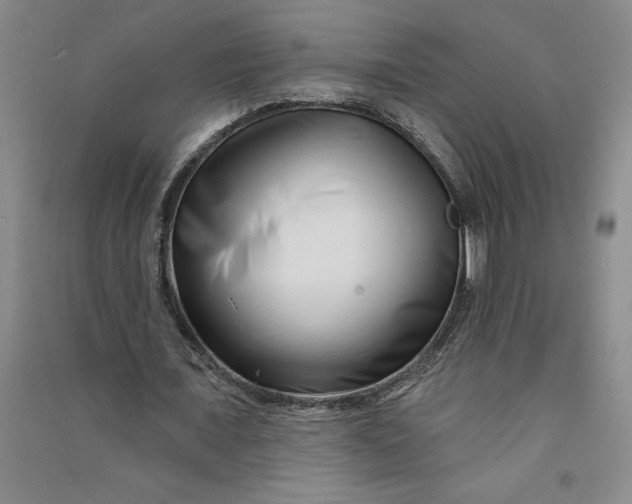 X0000090870675200708171626