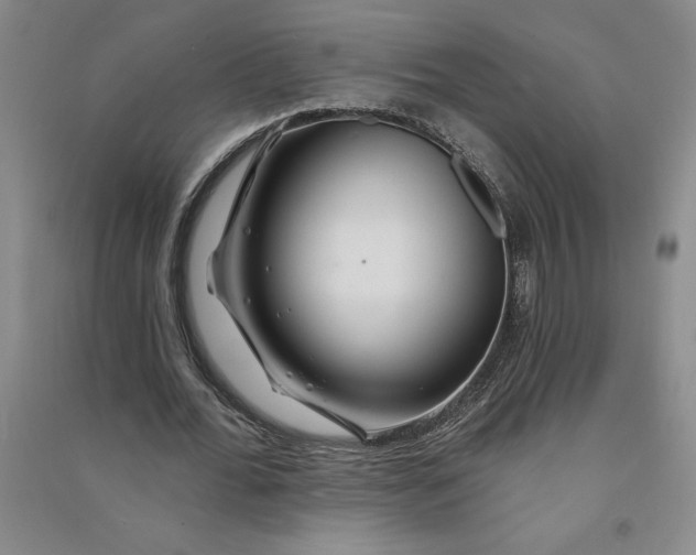 X0000090870676200708171626