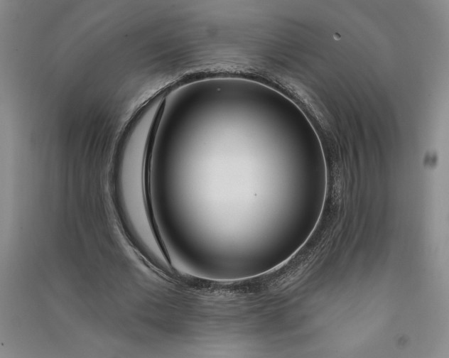 X0000090870677200708171626