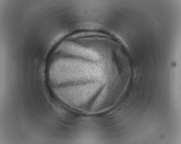 X0000090870679200708171626