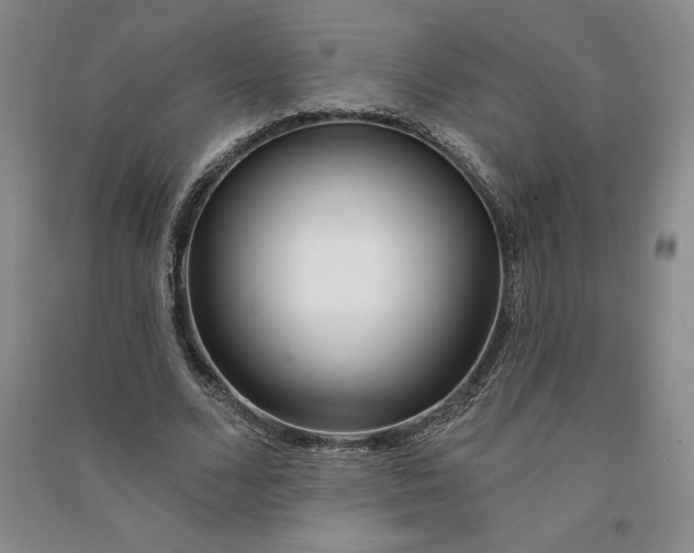 X0000090870680200708171625