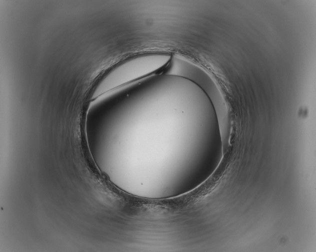 X0000090870681200708171625