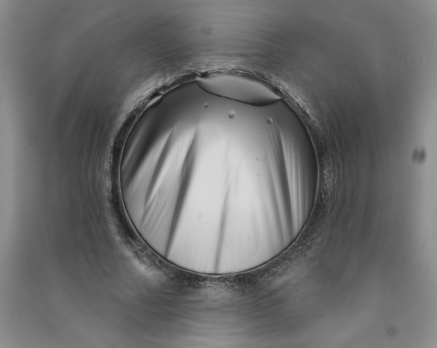 X0000090870682200708171625