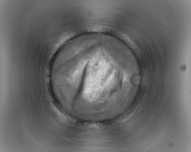 X0000090870683200708171625