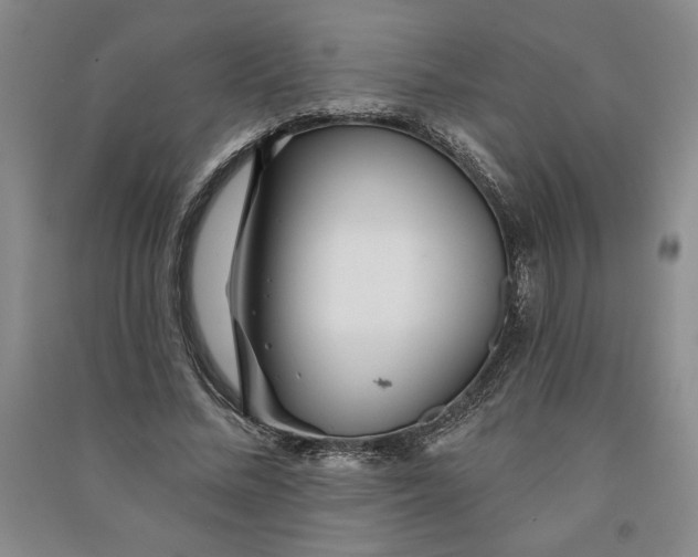 X0000090870684200708171625