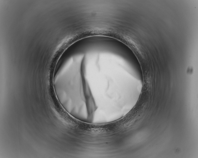 X0000090870686200708171625