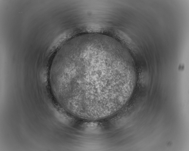 X0000090870687200708171625