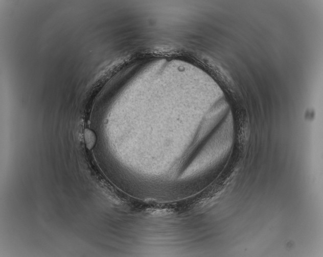 X0000090870689200708171625