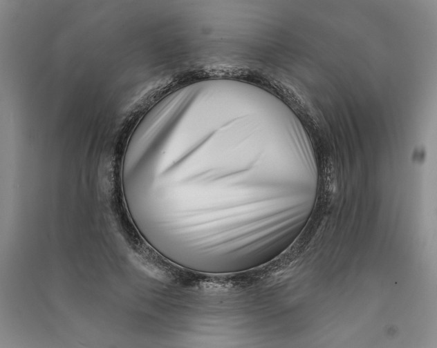 X0000090870690200708171625