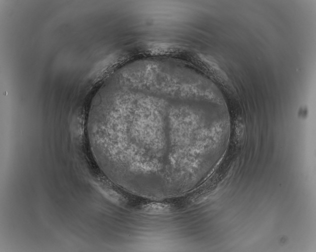 X0000090870691200708171625