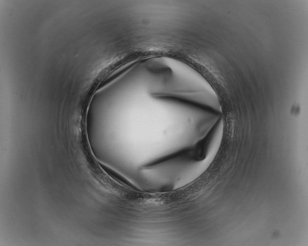 X0000090870692200708171625