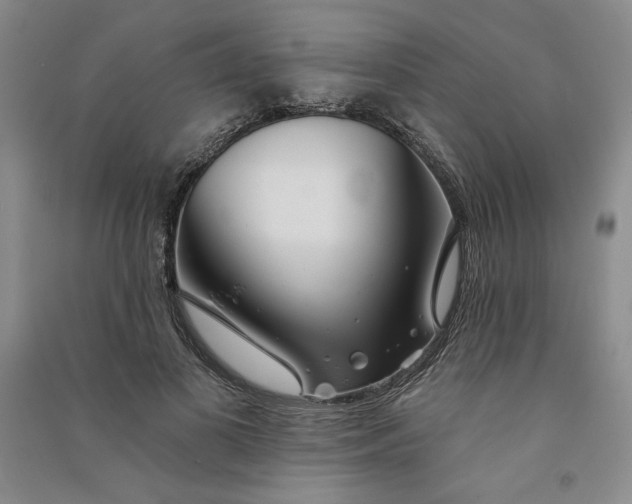 X0000090870693200708171625