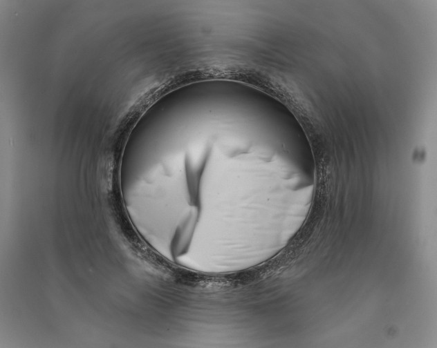 X0000090870694200708171625