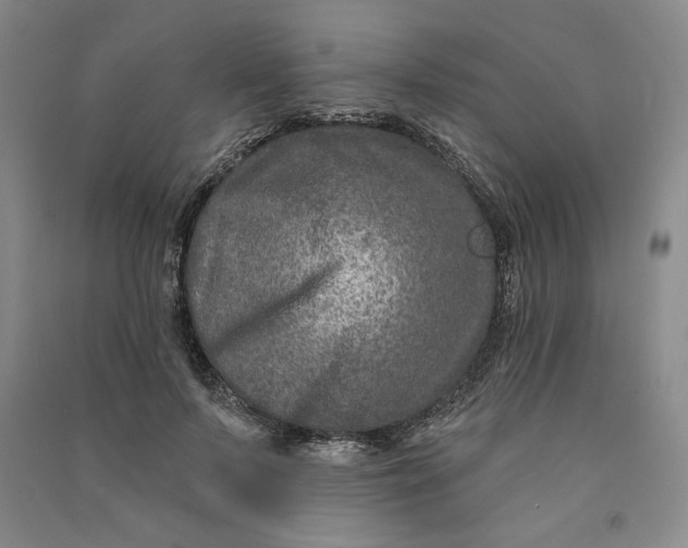 X0000090870695200708171625