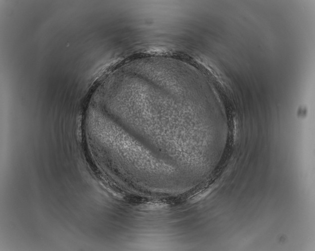 X0000090870696200708171625