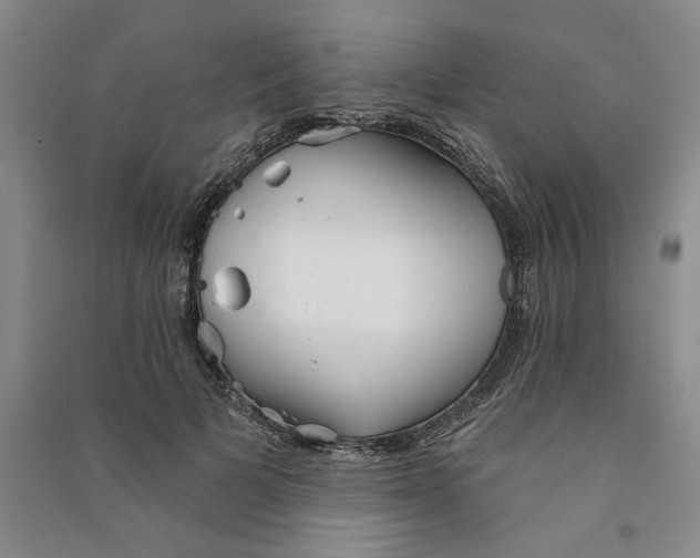 X0000090870697200708171625