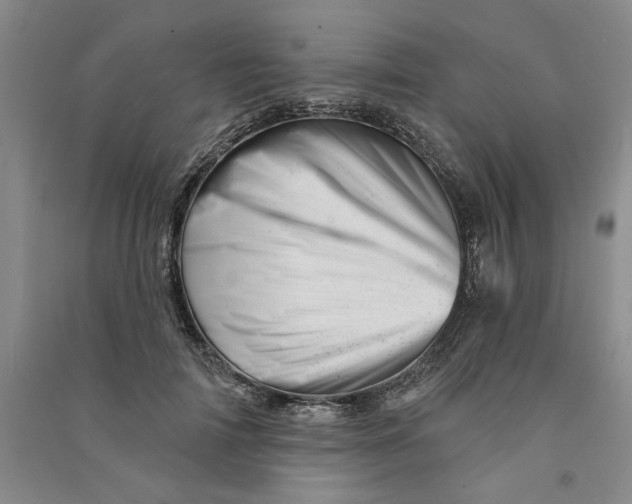 X0000090870698200708171625