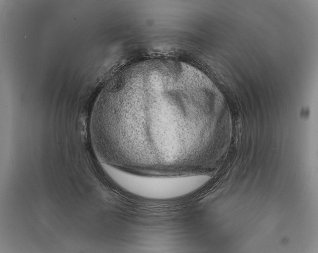 X0000090870699200708171625