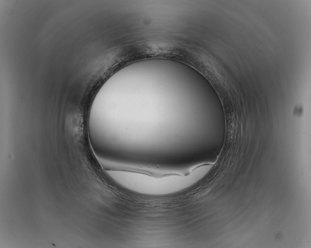 X0000090870700200708171625