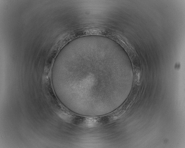 X0000090870701200708171625