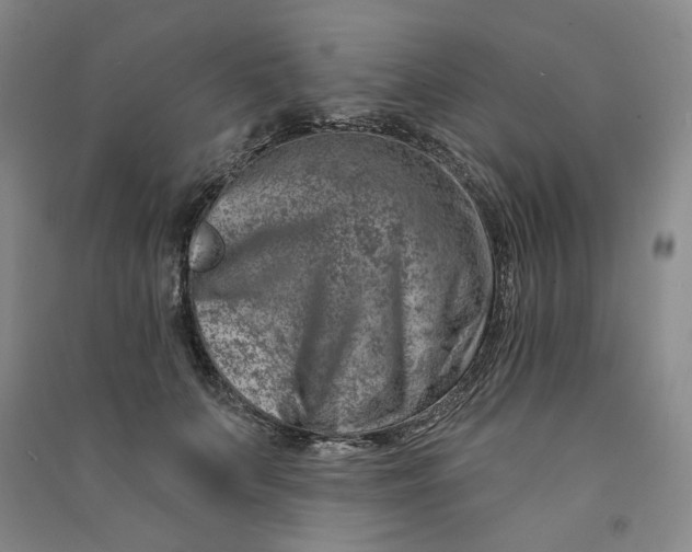 X0000090870703200708171625