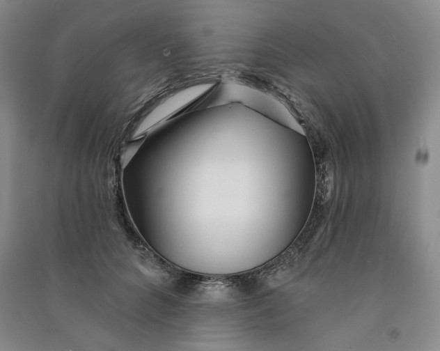 X0000090870704200708171625