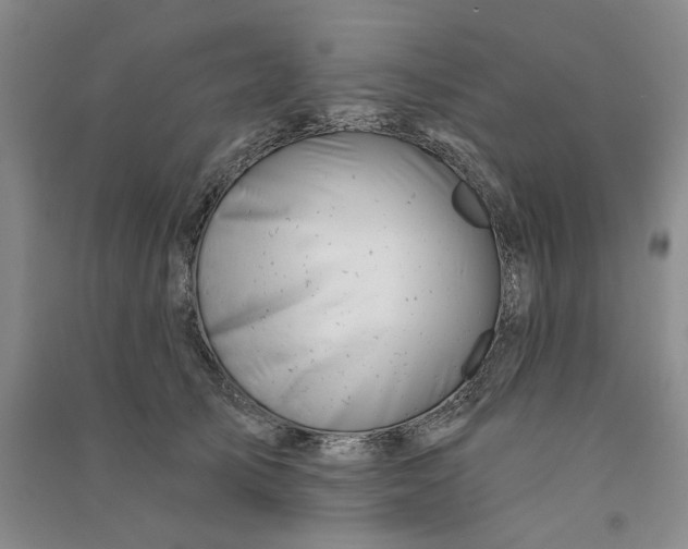 X0000090870705200708171625