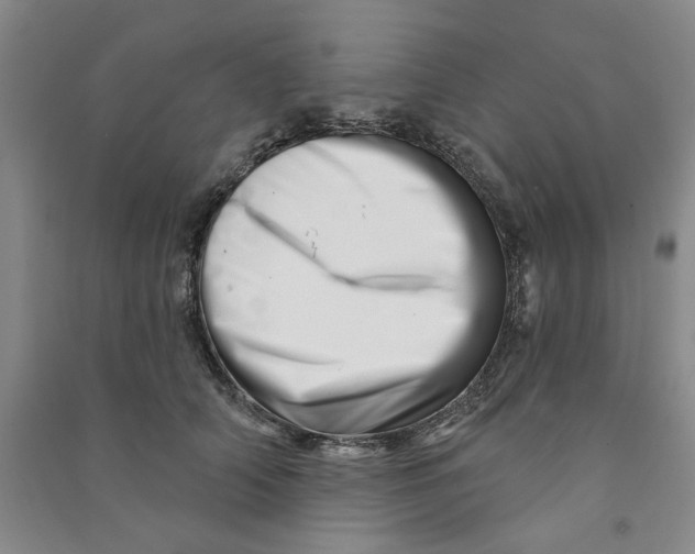 X0000090870706200708171625