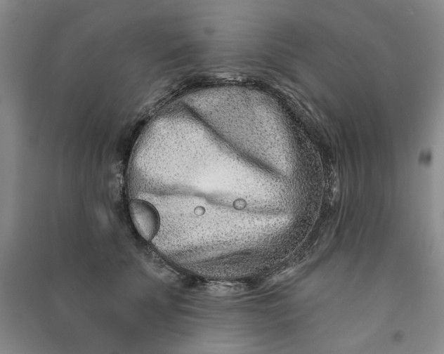 X0000090870707200708171625