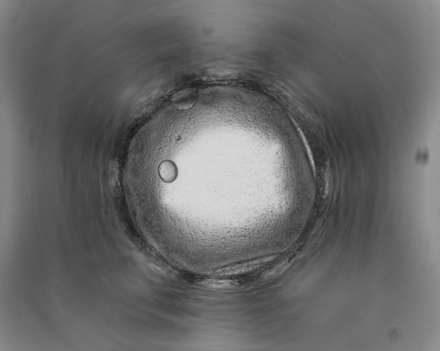 X0000090870711200708171625