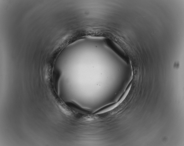 X0000090870712200708171625