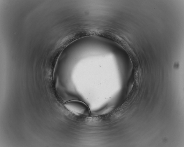 X0000090870714200708171625