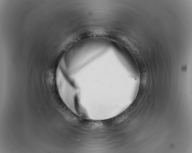 X0000090870715200708171625