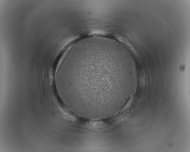 X0000090870716200708171625