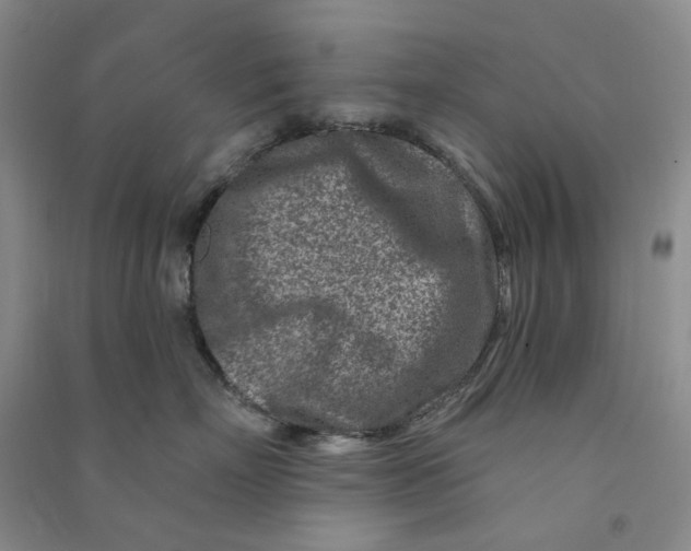 X0000090870718200708171625