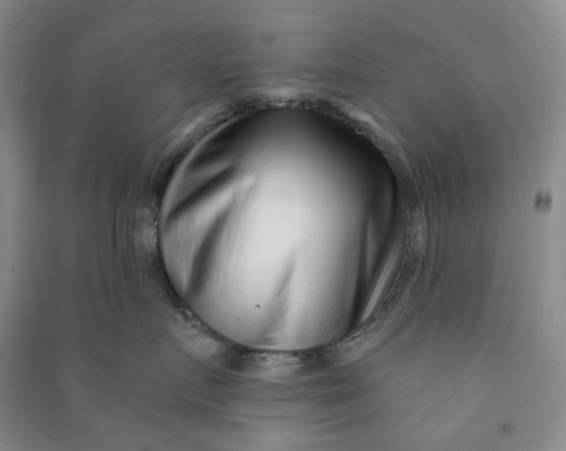 X0000090870719200708171625