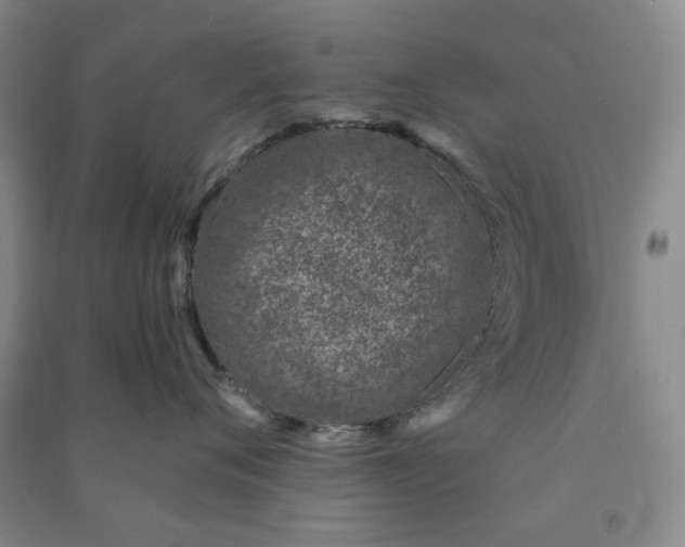 X0000090870720200708171625