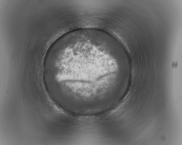 X0000090870721200708171624