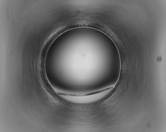 X0000090870722200708171624