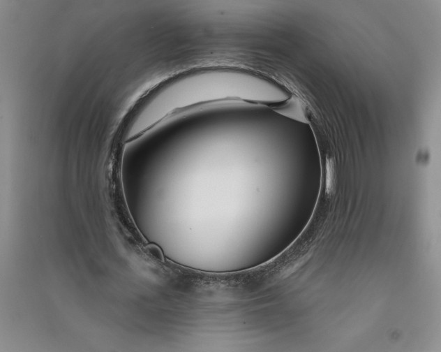 X0000090870723200708171624