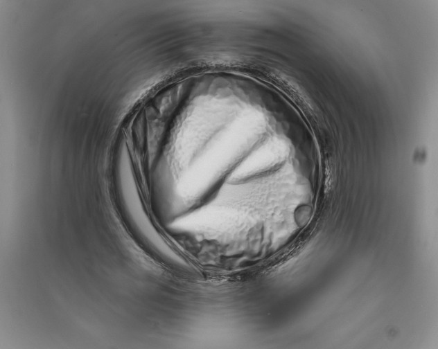 X0000090870725200708171624