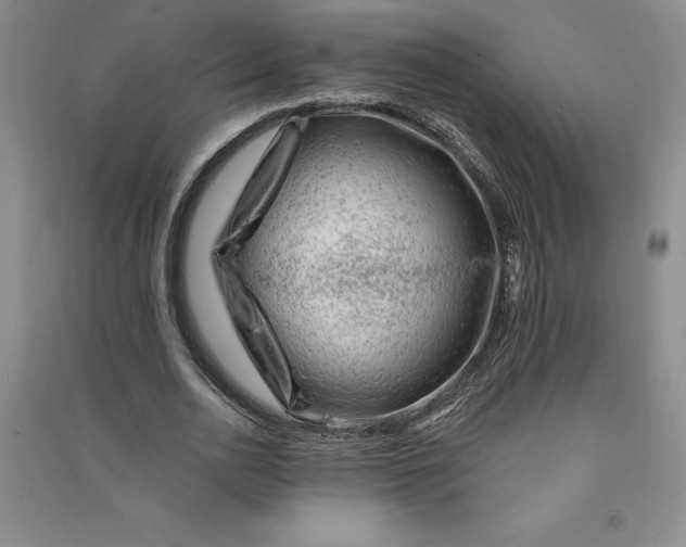 X0000090870726200708171624