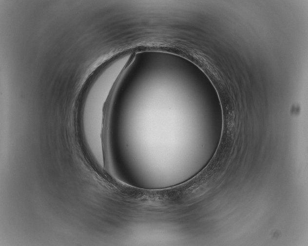 X0000090870727200708171624