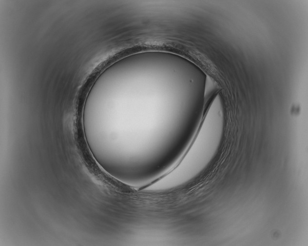 X0000090870728200708171624