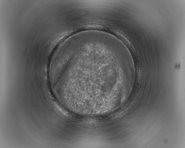 X0000090870729200708171625