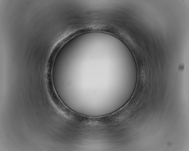 X0000090870730200708171625